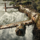 One of the best action scenes in Tomb Raider.
